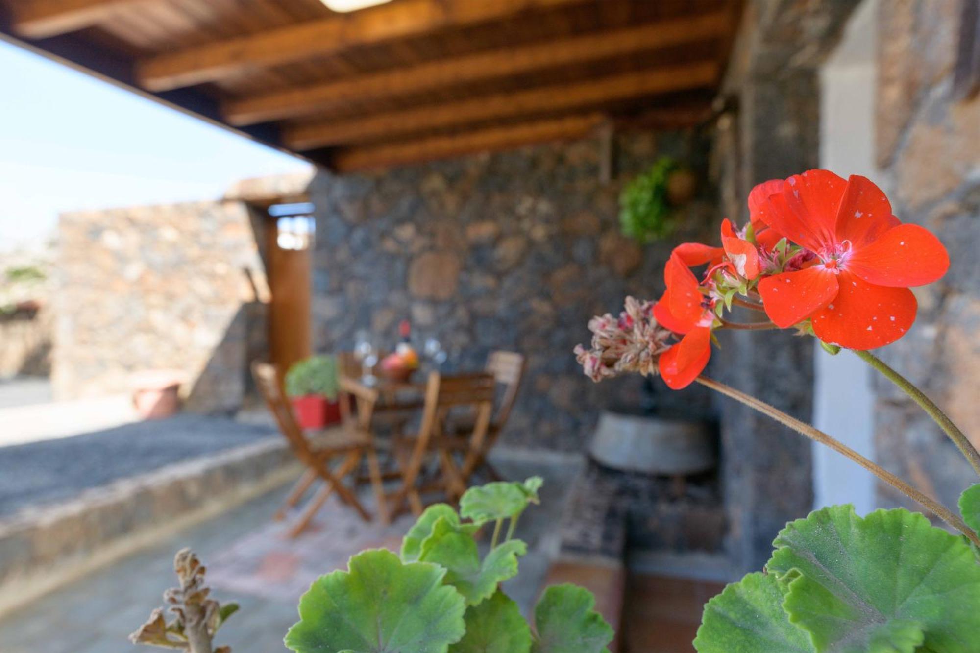 Apartamento Los 4 Nobles Tinajo Luaran gambar